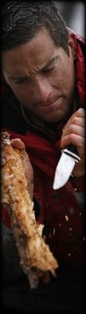 Bear Grylls - survivor