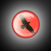 Raven